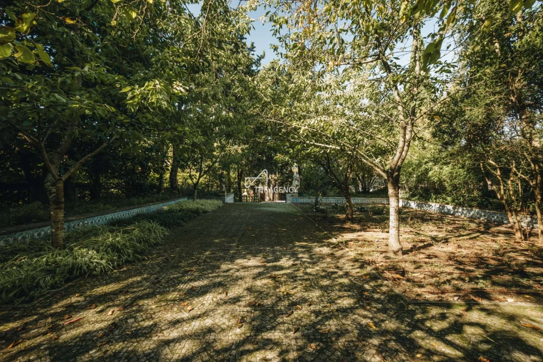 Quinta T7 para Venda em Lumiar Foto 80