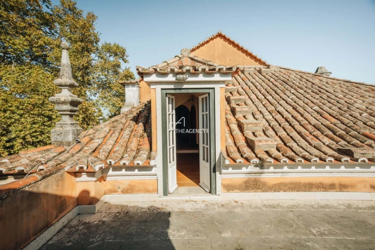 Quinta T7 para Venda em Lumiar Foto 38