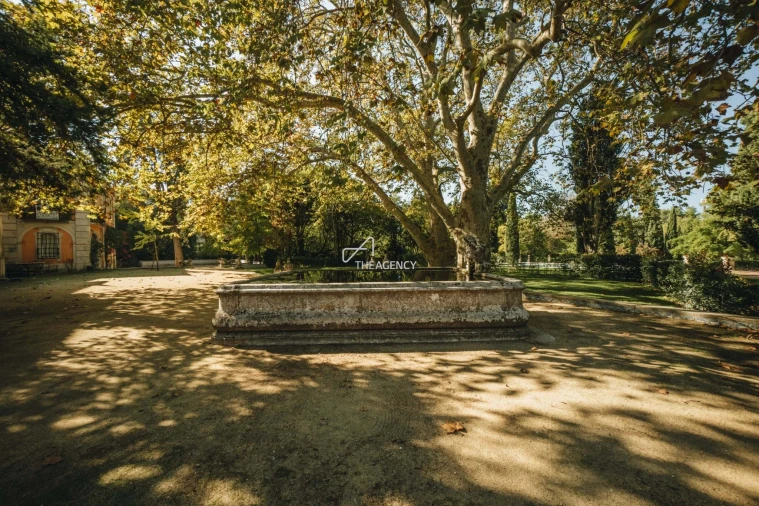 Quinta T7 para Venda em Lumiar Foto 89