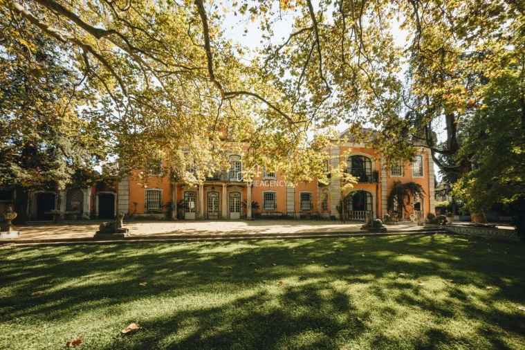 Quinta T7 para Venda em Lumiar Foto 85