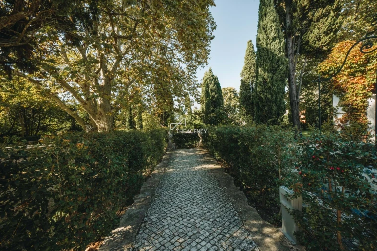 Quinta T7 para Venda em Lumiar Foto 91