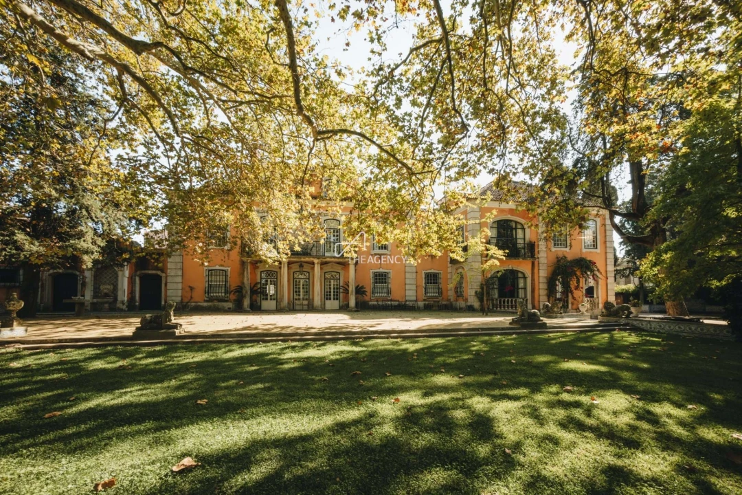 Quinta T7 para Venda em Lumiar Foto 85