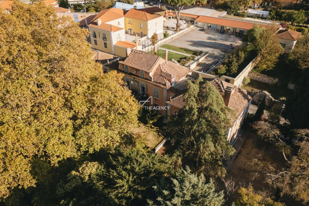 Quinta T7 para Venda em Lumiar Foto 21