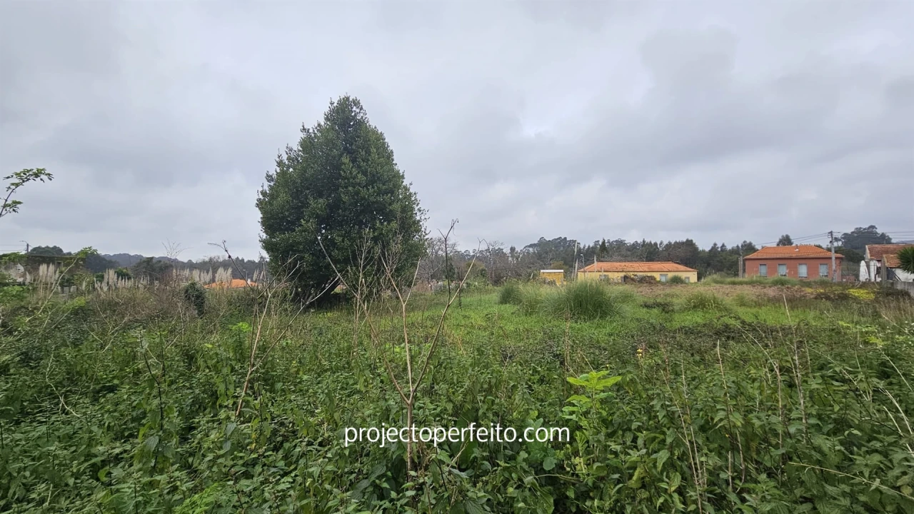 Terreno Agricola ou Rústico para Venda em Grijó e Sermonde Foto 3