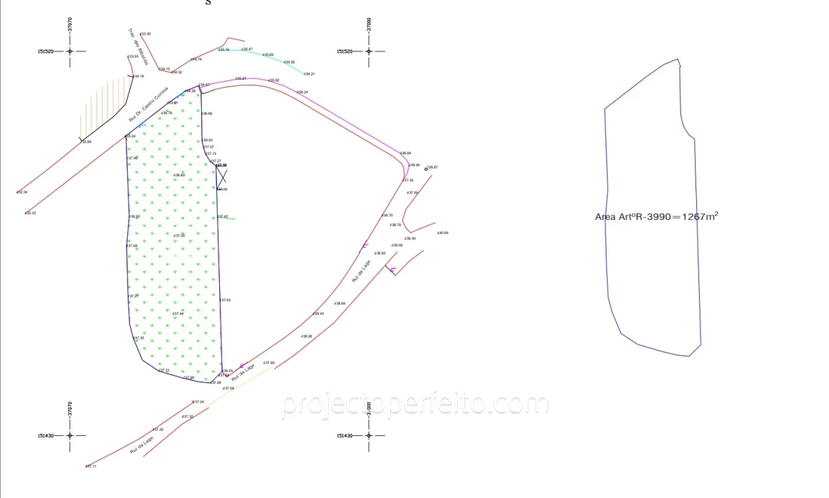 Terreno Agricola ou Rústico para Venda em Grijó e Sermonde Foto 9