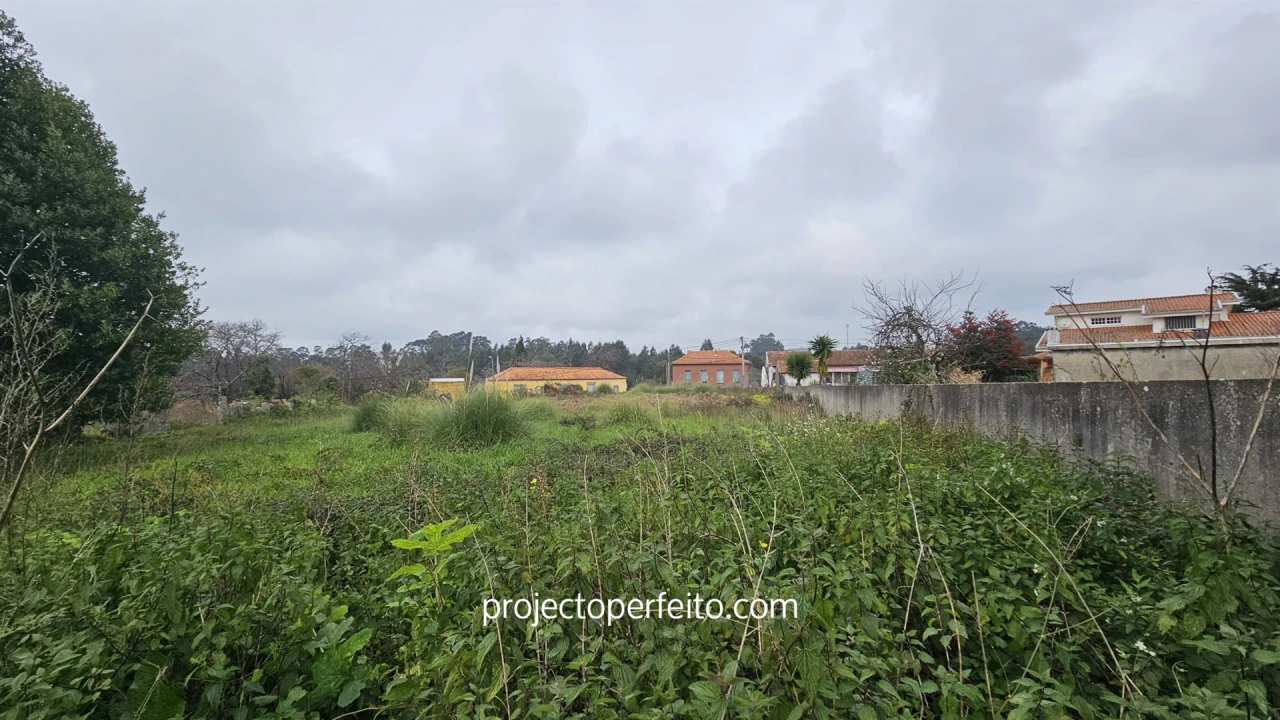 Terreno Agricola ou Rústico para Venda em Grijó e Sermonde Foto 5