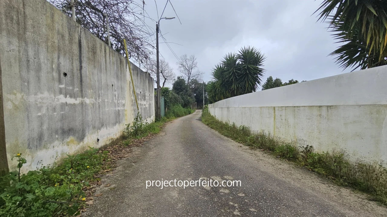 Terreno Agricola ou Rústico para Venda em Grijó e Sermonde Foto 7
