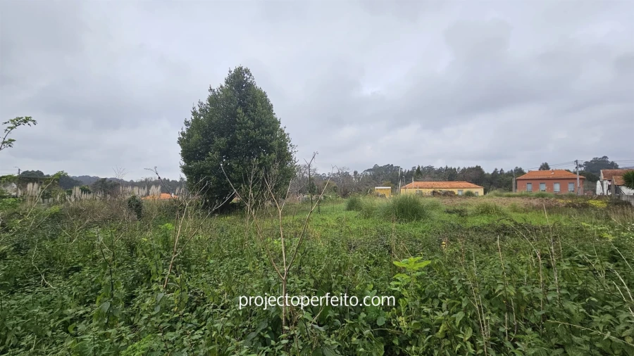 Terreno Agricola ou Rústico para Venda em Grijó e Sermonde Foto 3