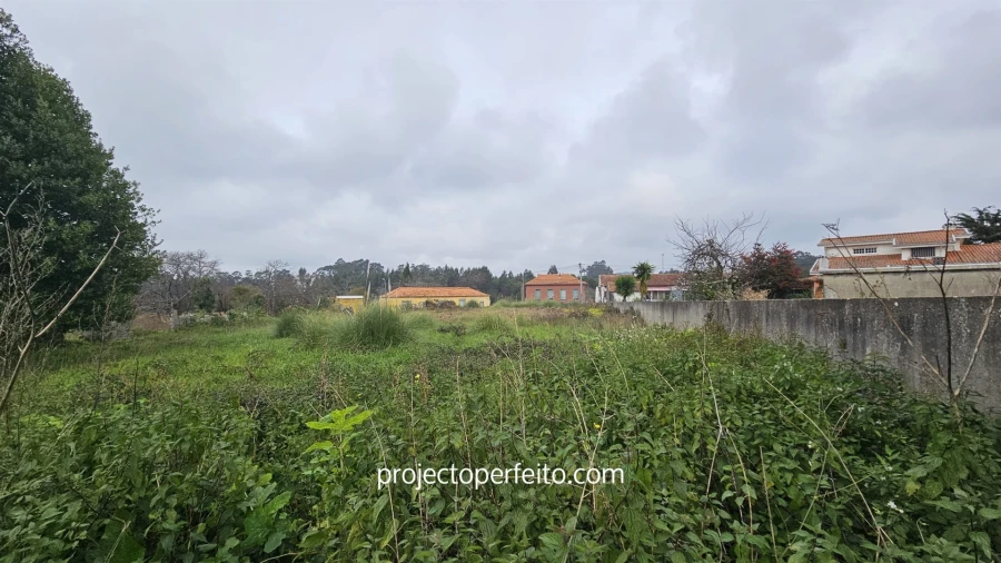 Terreno Agricola ou Rústico para Venda em Grijó e Sermonde Foto 5