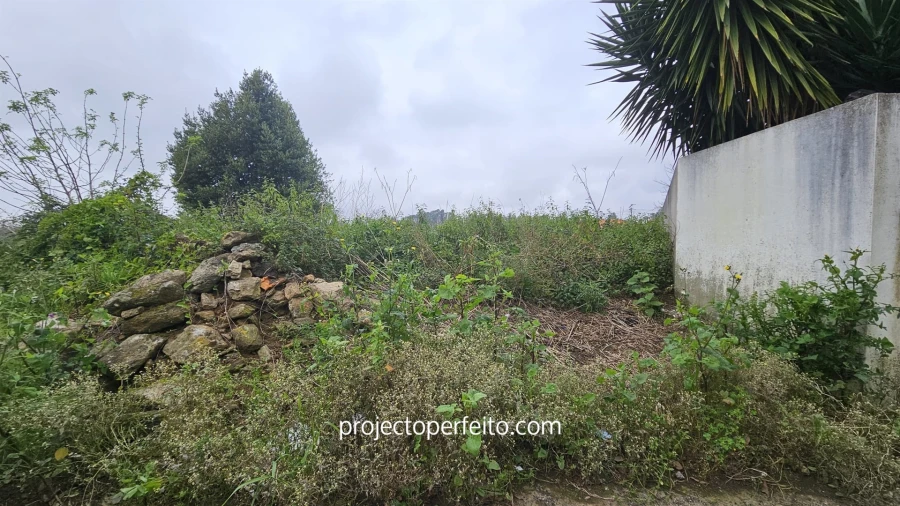 Terreno Agricola ou Rústico para Venda em Grijó e Sermonde Foto 8