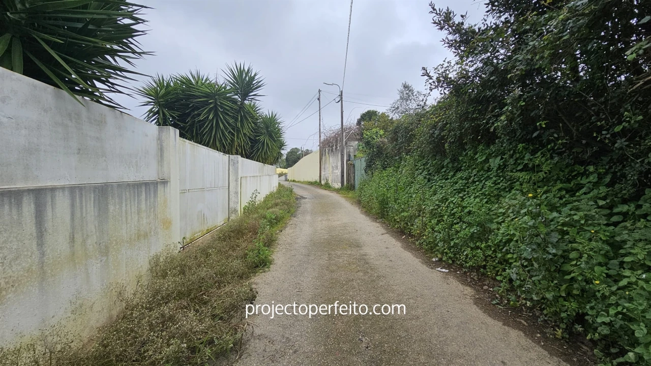 Terreno Agricola ou Rústico para Venda em Grijó e Sermonde Foto 2