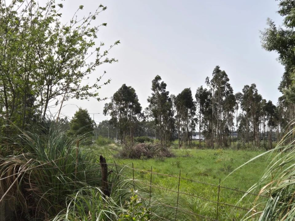 Terreno para Venda em Mindelo Foto 6