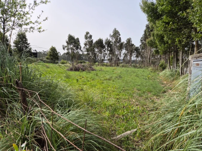 Terreno para Venda em Mindelo Foto 3