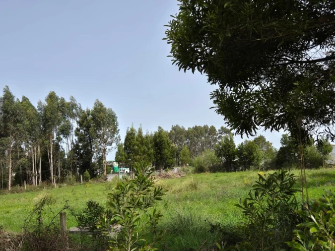 Terreno para Venda em Mindelo Foto 5