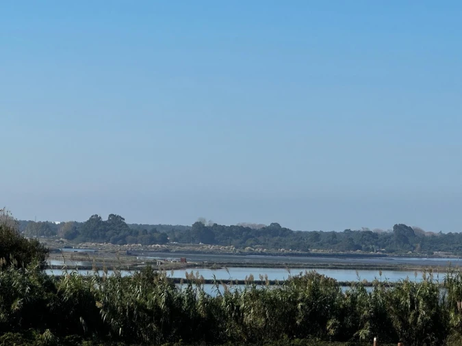Moradia T0 para Venda em Glória e Vera Cruz Foto 13