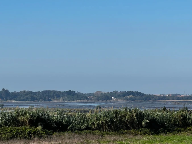 Moradia T0 para Venda em Glória e Vera Cruz Foto 14