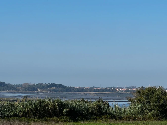 Moradia T0 para Venda em Glória e Vera Cruz Foto 12