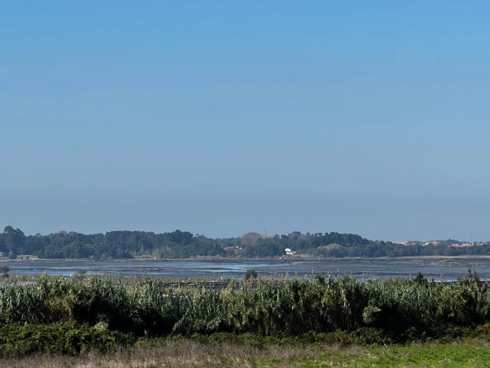 Moradia T0 para Venda em Glória e Vera Cruz Foto 14