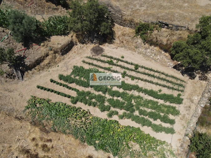 Moradia T2 para Venda em São Barnabe Foto 22