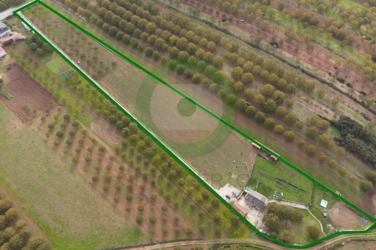 Quinta T3 para Venda em São João da Corveira