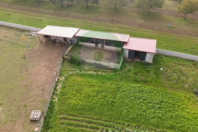 Quinta T3 para Venda em São João da Corveira Foto 6