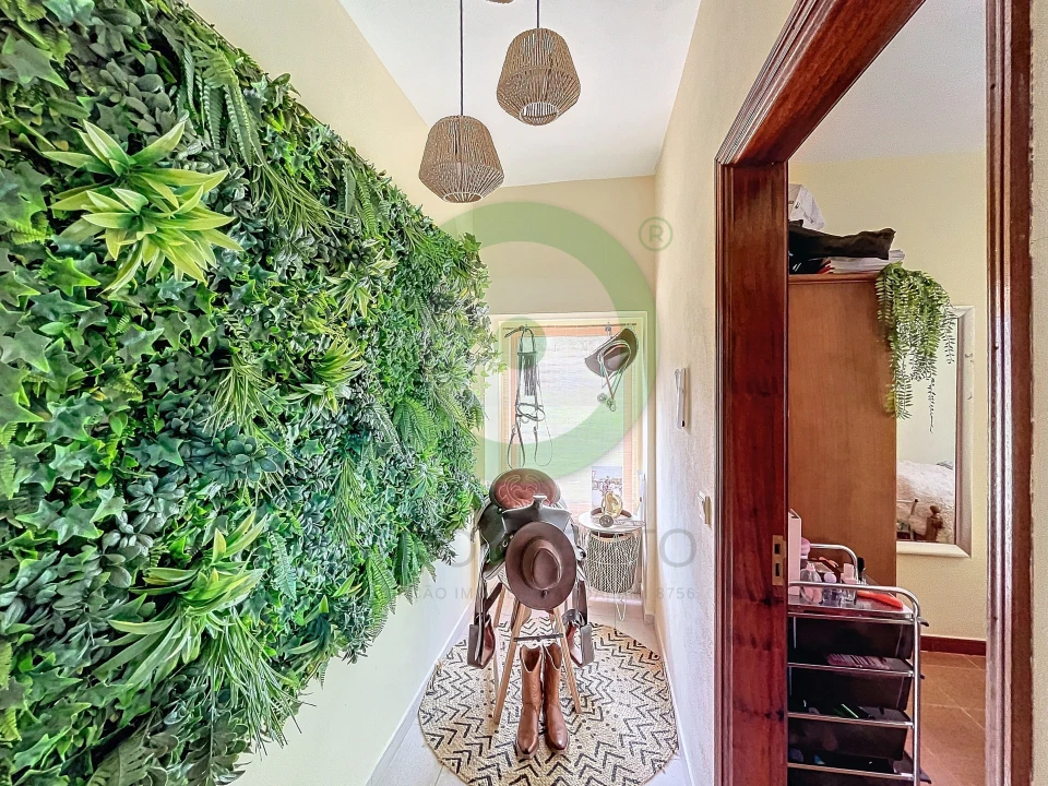 Quinta T3 para Venda em São João da Corveira Foto 15