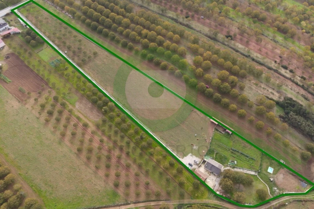 Quinta T3 para Venda em São João da Corveira Foto 1