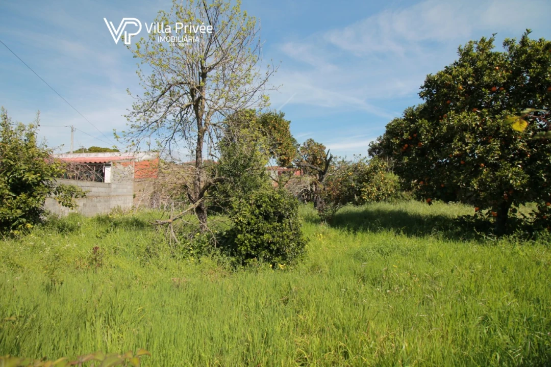 Terreno para Venda em São Martinho do Bispo e Ribeira de Frades Foto 22