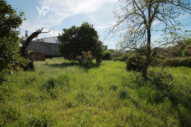 Terreno para Venda em São Martinho do Bispo e Ribeira de Frades Foto 21