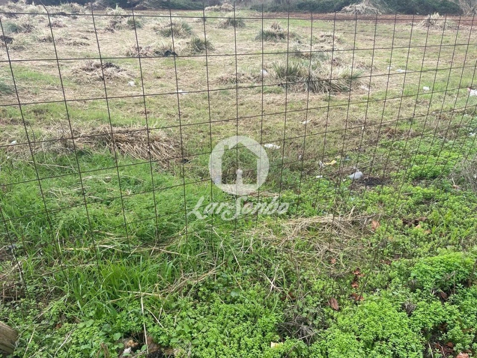 Terreno P/ Prédio para Venda em Vila do Conde Foto 12