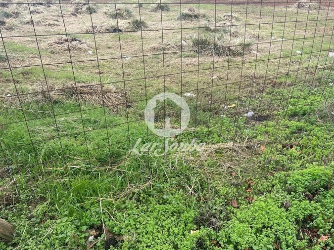 Terreno P/ Prédio para Venda em Vila do Conde Foto 9
