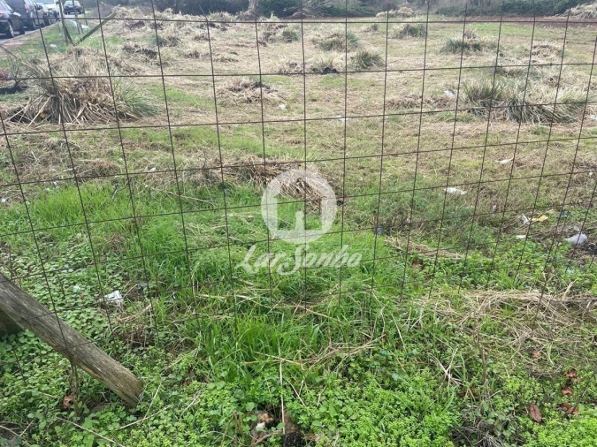 Terreno P/ Prédio para Venda em Vila do Conde Foto 10
