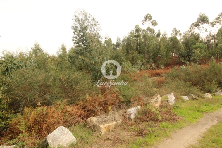 Terreno Agricola ou Rústico para Venda em São Gens Foto 1
