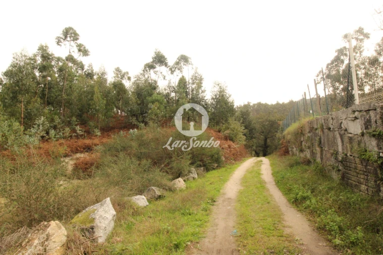 Terreno Agricola ou Rústico para Venda em São Gens Foto 2