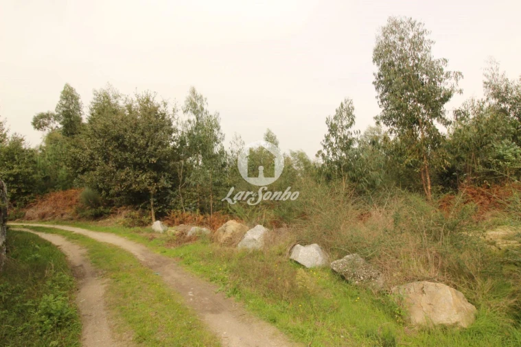 Terreno Agricola ou Rústico para Venda em São Gens Foto 8