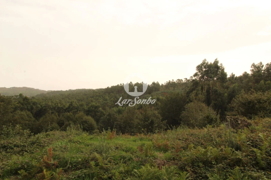 Terreno Agricola ou Rústico para Venda em São Gens Foto 1