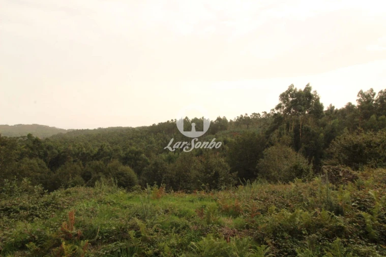 Terreno Agricola ou Rústico para Venda em São Gens Foto 1