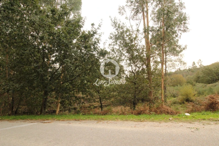 Terreno Agricola ou Rústico para Venda em São Gens Foto 4