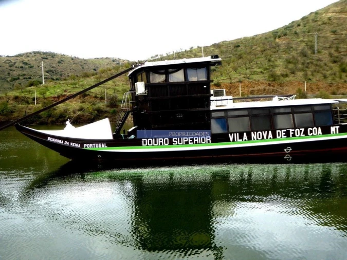 Terreno Agricola ou Rústico para Venda em Vila Nova de Foz Côa Foto 9
