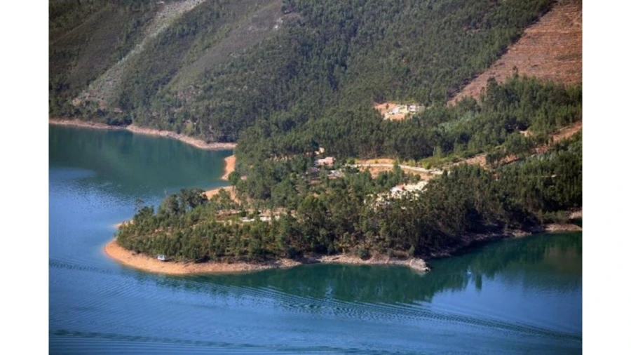 Terreno para Venda em São Pedro de Tomar Foto 14