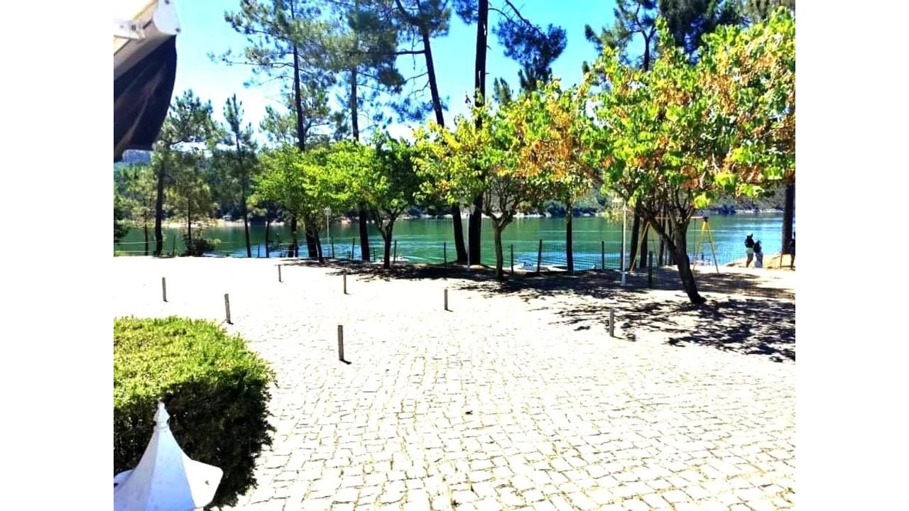 Terreno para Venda em São Pedro de Tomar Foto 9