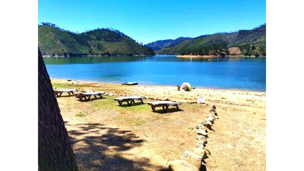 Terreno para Venda em São Pedro de Tomar Foto 10