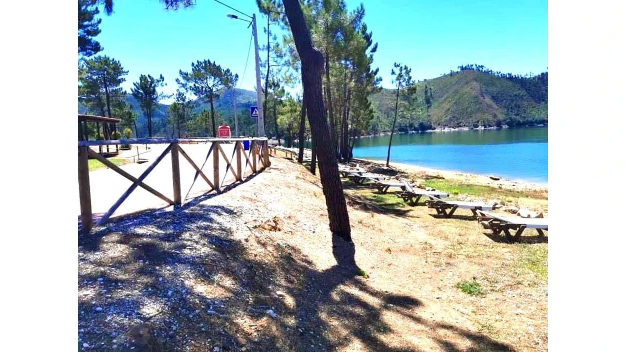 Terreno para Venda em São Pedro de Tomar Foto 12