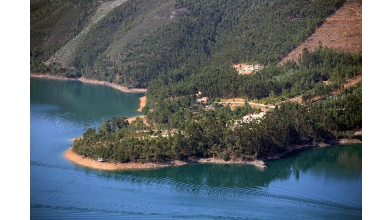 Terreno para Venda em São Pedro de Tomar Foto 14
