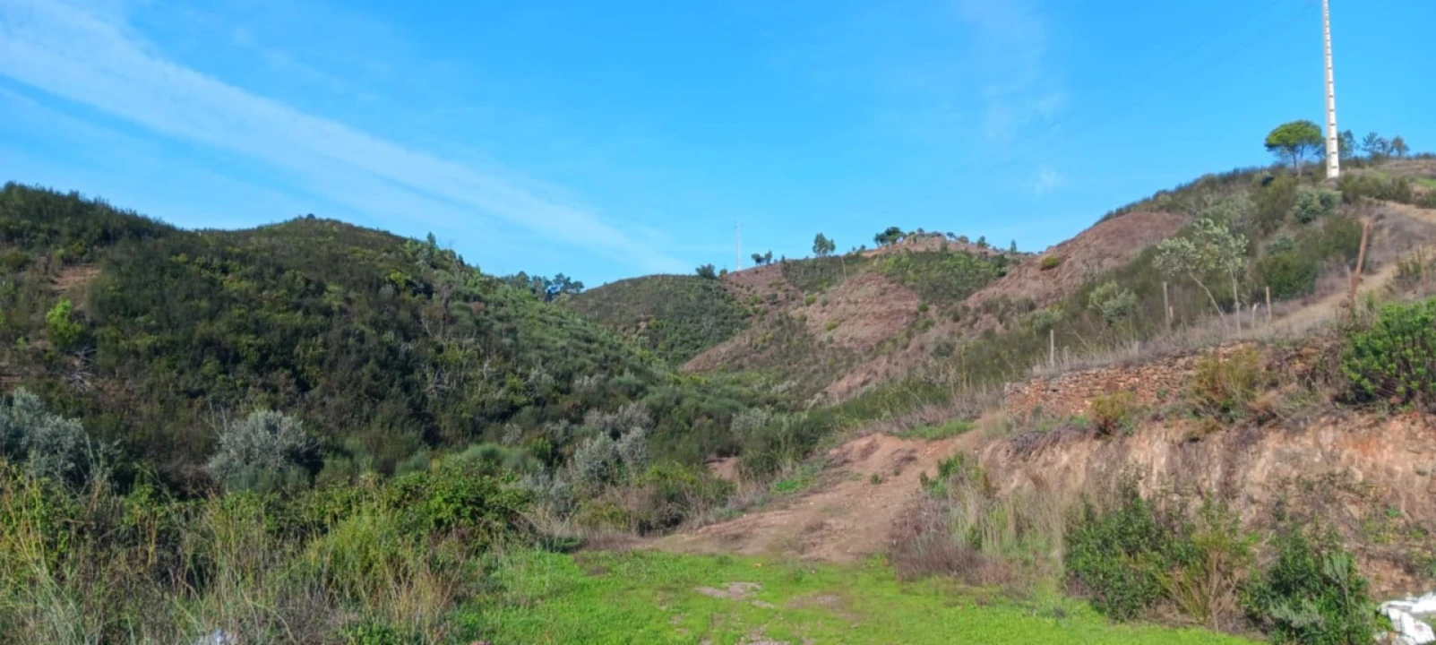 Terreno Agricola ou Rústico para Venda em Ortiga Foto 3