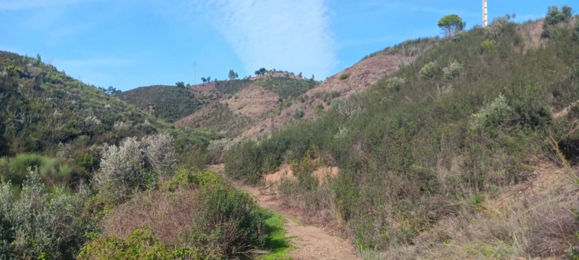 Terreno Agricola ou Rústico para Venda em Ortiga Foto 4