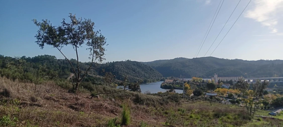 Terreno Agricola ou Rústico para Venda em Ortiga Foto 14