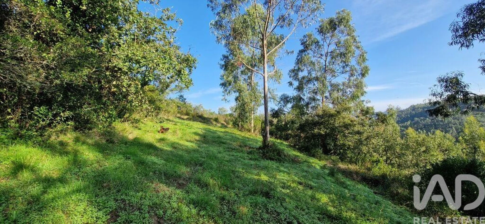 Terreno para Venda em Mafra Foto 17