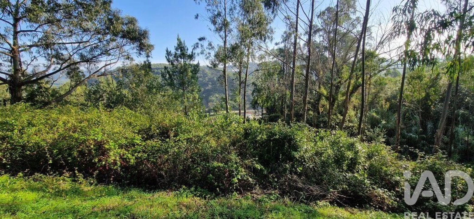 Terreno para Venda em Mafra Foto 15