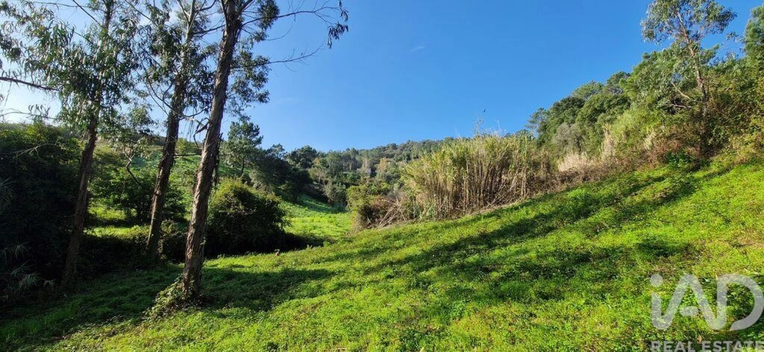 Terreno para Venda em Mafra Foto 19